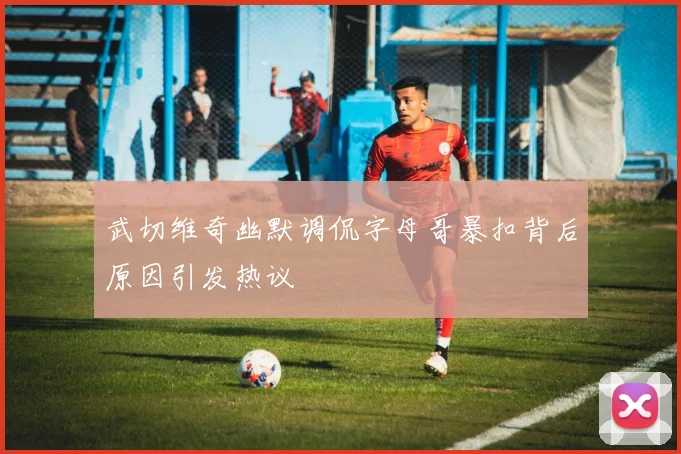 武切维奇幽默调侃字母哥暴扣背后原因引发热议