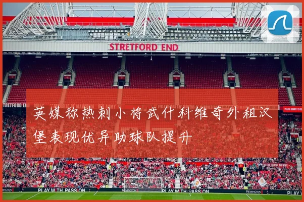 英媒称热刺小将武什科维奇外租汉堡表现优异助球队提升